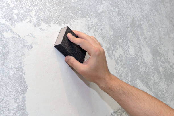 Best Mold Remediation for Healthcare Facilities  in Hillsborough, NC