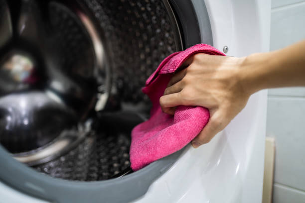 Best HVAC Mold Inspection and Cleaning  in Hillsborough, NC