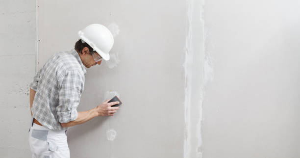 Best Comprehensive Air Testing for Mold Contaminants  in Hillsborough, NC