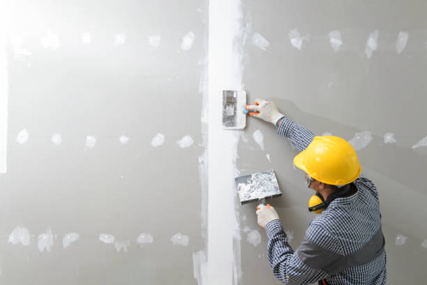 Best Airborne Mold Testing  in Hillsborough, NC