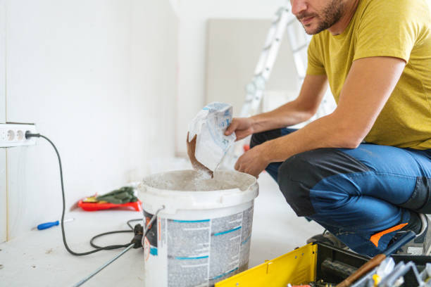 Best Basement Mold Removal  in Hillsborough, NC