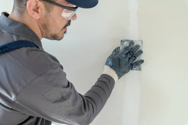 Best Commercial Mold Inspection  in Hillsborough, NC