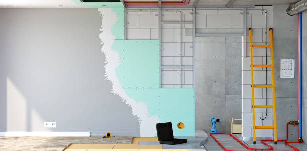 Best Mold Damage Restoration  in Hillsborough, NC