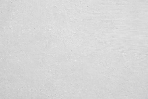 Reliable Hillsborough, NC Mold Removal Solutions