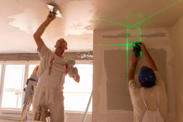 Best Crawl Space Mold Remediation  in Hillsborough, NC