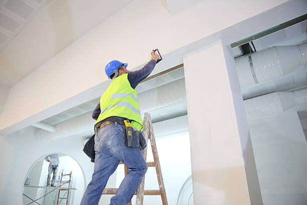  Hillsborough, NC Mold Removal Pros