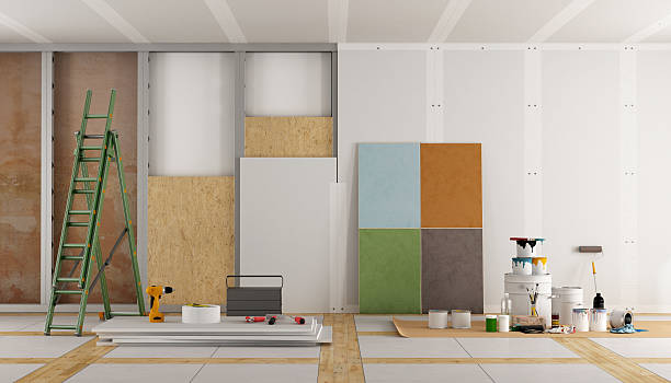 Best Real Estate Mold Inspection  in Hillsborough, NC