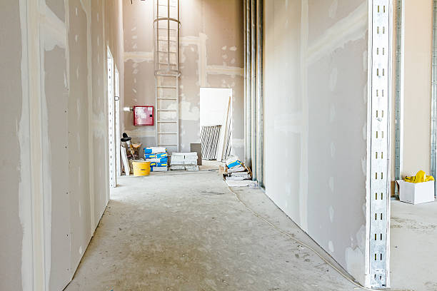 Best Flood Damage  in Hillsborough, NC