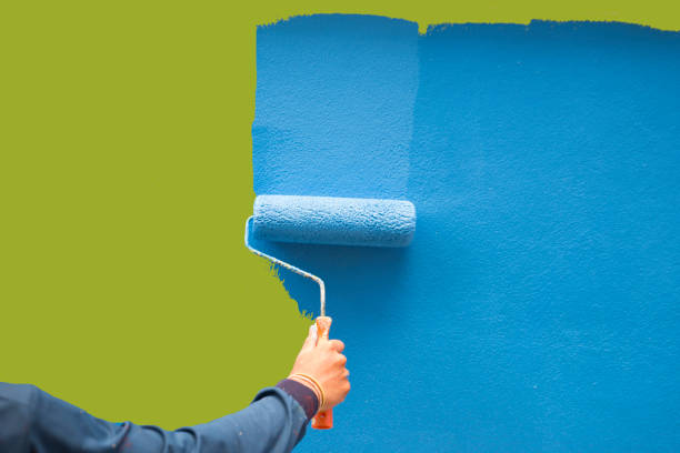 Environmental Consulting for Mold Prevention in Hillsborough, NC