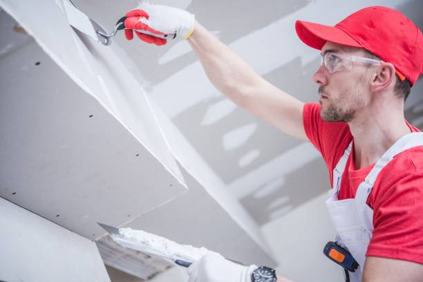 Best Environmental Consulting for Mold Prevention  in Hillsborough, NC
